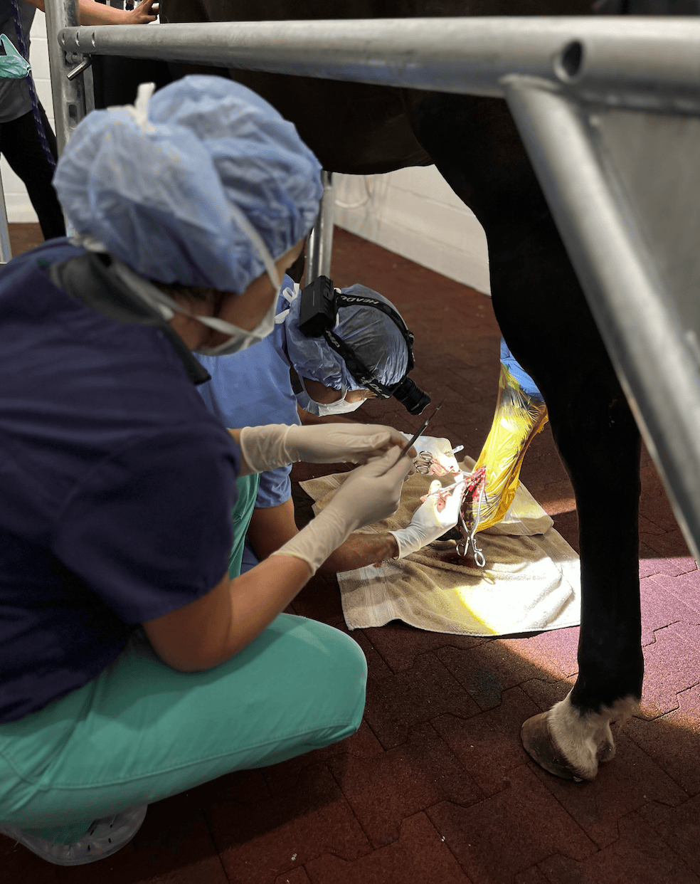 Dr. Alvaro Bonilla in Surgery