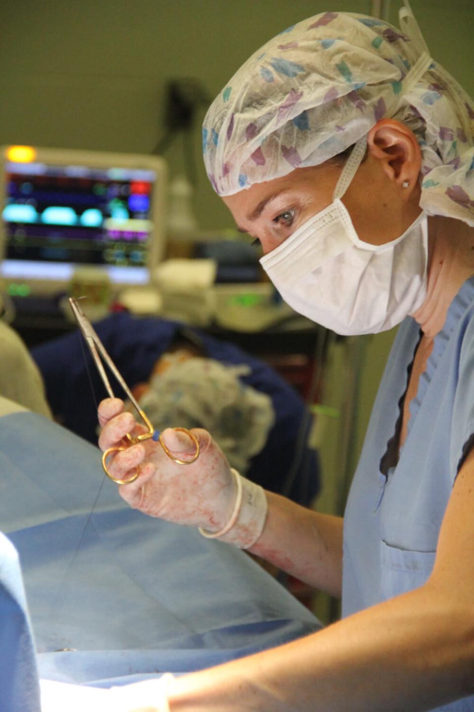 surgical facilities for horses